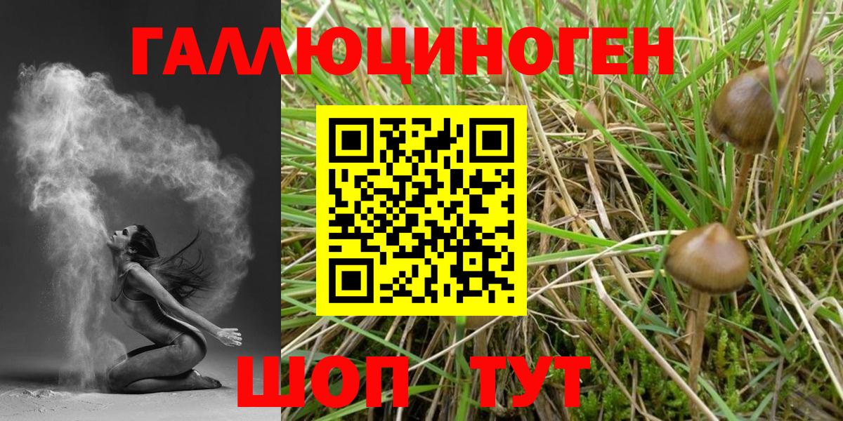 Великие Луки  Галлюциногенные грибы MAGIC MUSHROOMS  Вход с VPN 